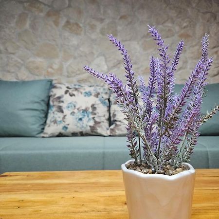 Dalmatia Rustica Comfortable One Bedroom+Fireplace Zadar Extérieur photo