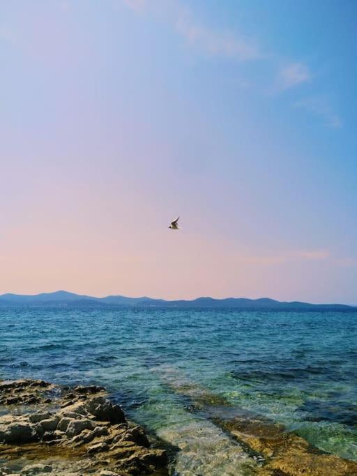Dalmatia Rustica Comfortable One Bedroom+Fireplace Zadar Extérieur photo