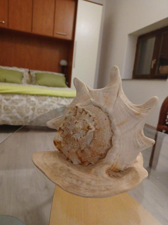 Dalmatia Rustica Comfortable One Bedroom+Fireplace Zadar Extérieur photo
