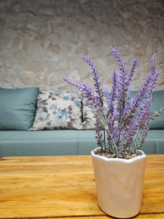 Dalmatia Rustica Comfortable One Bedroom+Fireplace Zadar Extérieur photo